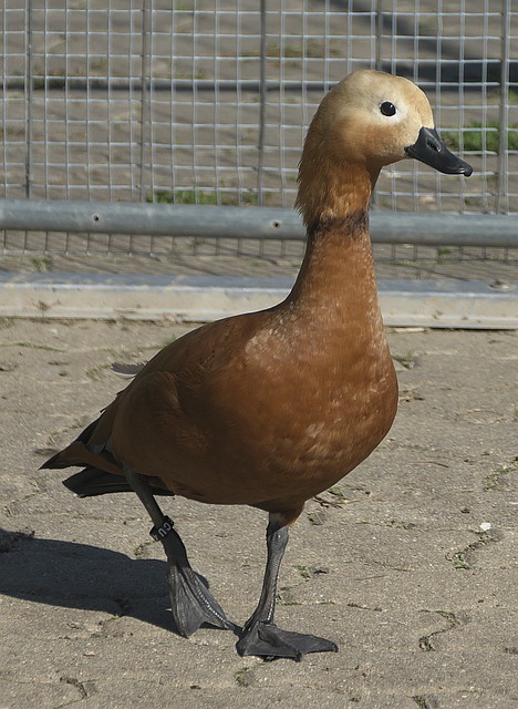 锁定在