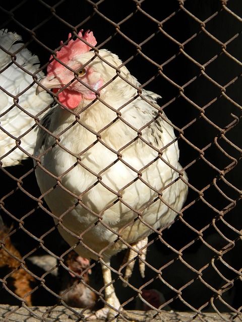 每次參賽都 每次參賽都