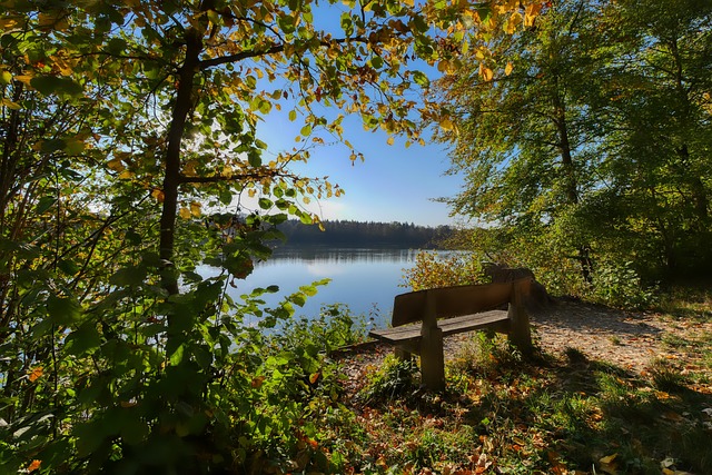 仅让76人 仅让76人