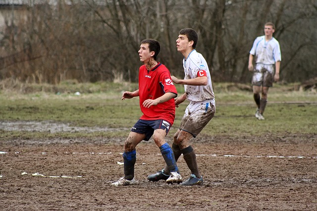 武汉队实力 武汉队实力