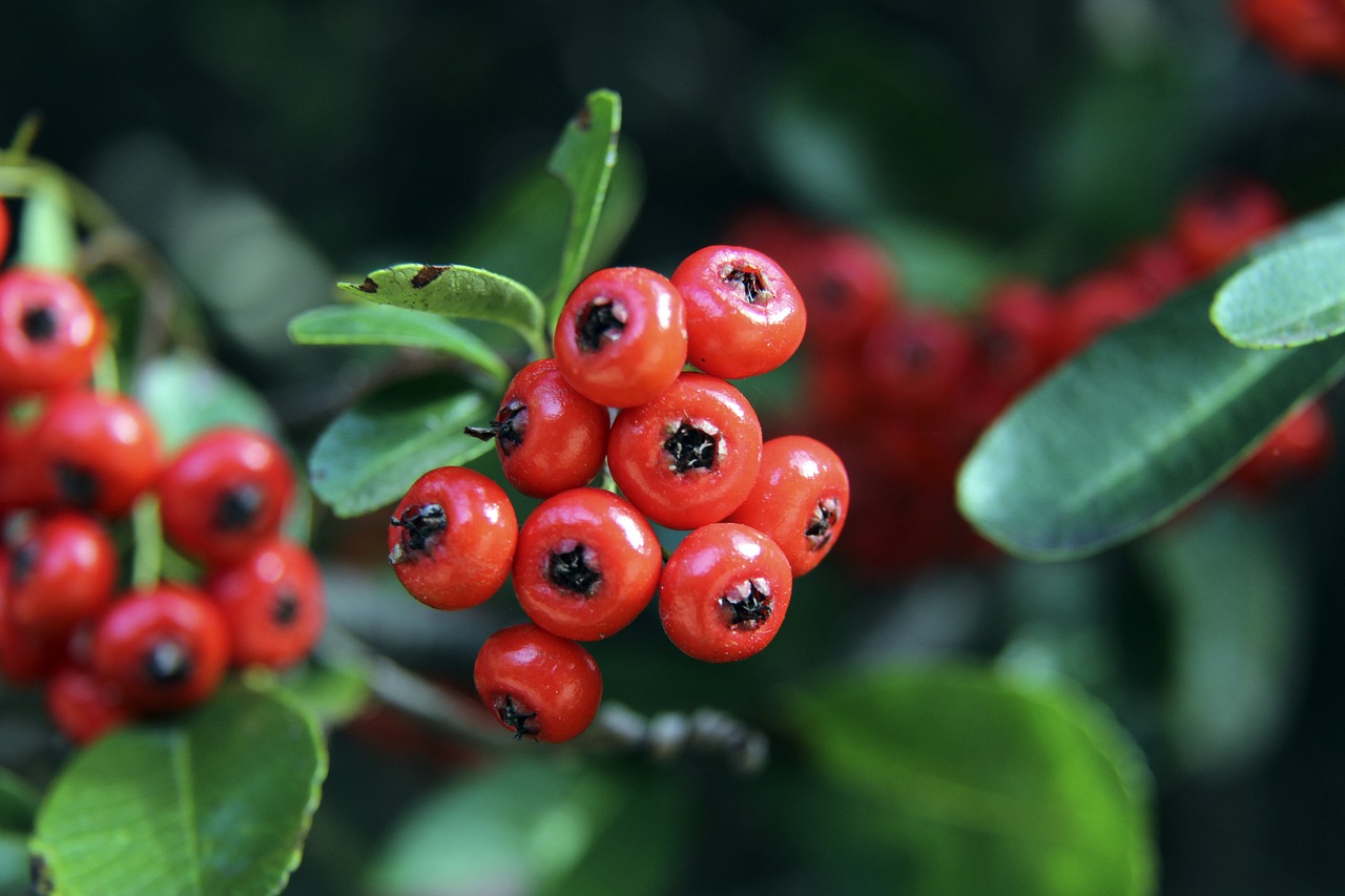 何更快适应 何更快适应