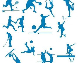 贡献了两粒 贡献了两粒