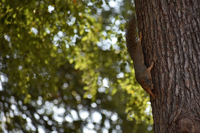 银河战舰 银河战舰