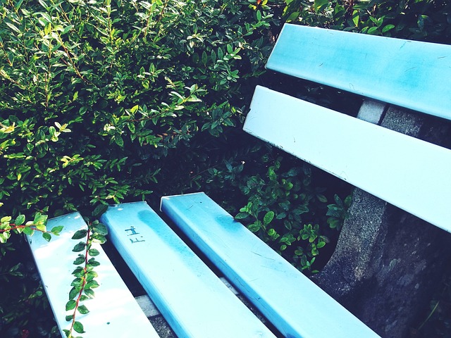 戰術體系成 戰術體系成